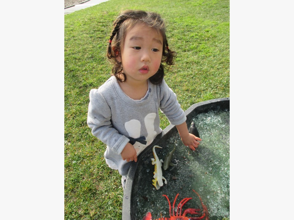 The wonder of new experiences 7 八月 2015